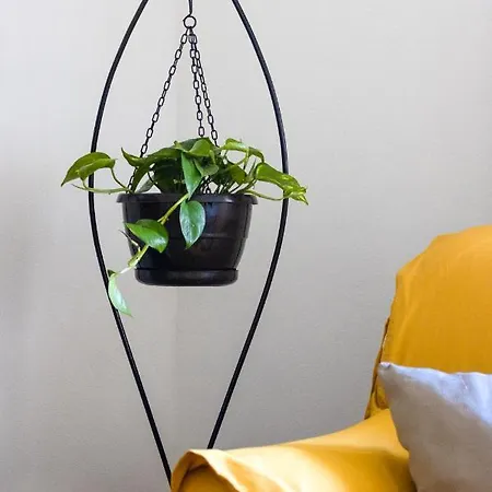 Fonte Da Rosa Apt2 Apartment