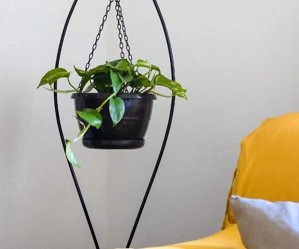 Fonte Da Rosa Apt2 アパート